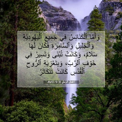 Picture 07 - أَعْمَالُ ٱلرُّسُلِ 9:31 AVD - وَأَمَّا ٱلْكَنَائِسُ فِي - Bible Verse Picture