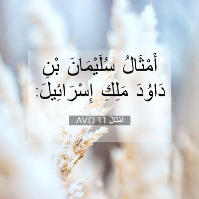 Picture 07 - أَمْثَالٌ 1:1 AVD - أَمْثَالُ سُلَيْمَانَ - Bible Verse Picture