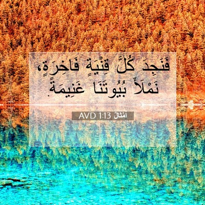 Picture 07 - أَمْثَالٌ 1:13 AVD - فَنَجِدَ كُلَّ قِنْيَةٍ - Bible Verse Picture