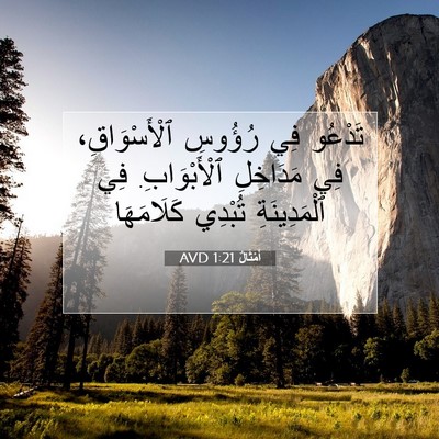 Picture 07 - أَمْثَالٌ 1:21 AVD - تَدْعُو فِي رُؤُوسِ - Bible Verse Picture