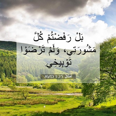 Picture 07 - أَمْثَالٌ 1:25 AVD - بَلْ رَفَضْتُمْ كُلَّ - Bible Verse Picture