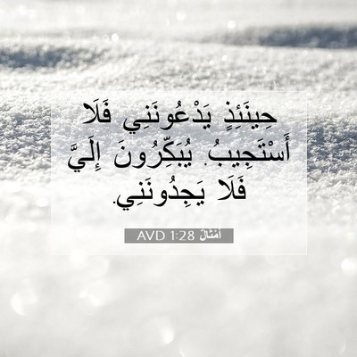 Picture 07 - أَمْثَالٌ 1:28 AVD - حِينَئِذٍ يَدْعُونَنِي - Bible Verse Picture