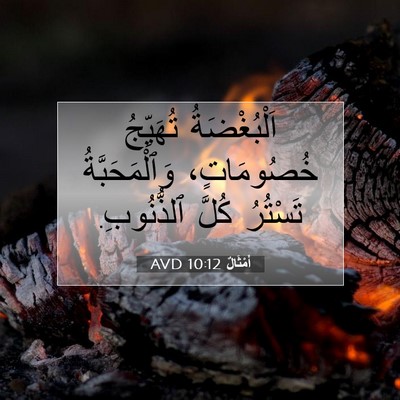 Picture 07 - أَمْثَالٌ 10:12 AVD - اَلْبُغْضَةُ تُهَيِّجُ - Bible Verse Picture