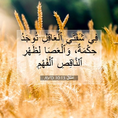 Picture 07 - أَمْثَالٌ 10:13 AVD - فِي شَفَتَيِ ٱلْعَاقِلِ - Bible Verse Picture