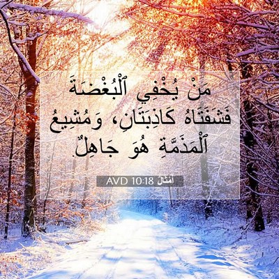 Picture 07 - أَمْثَالٌ 10:18 AVD - مَنْ يُخْفِي ٱلْبُغْضَةَ - Bible Verse Picture