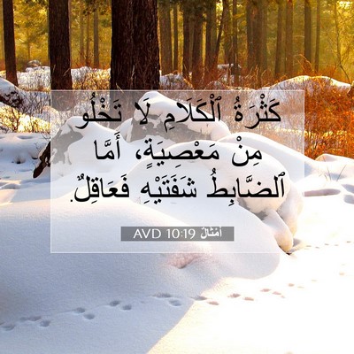 Picture 07 - أَمْثَالٌ 10:19 AVD - كَثْرَةُ ٱلْكَلَامِ لَا - Bible Verse Picture