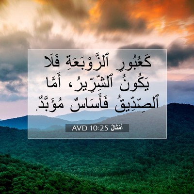 Picture 07 - أَمْثَالٌ 10:25 AVD - كَعُبُورِ ٱلزَّوْبَعَةِ - Bible Verse Picture