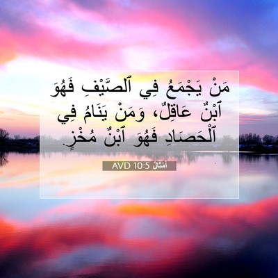 Picture 07 - أَمْثَالٌ 10:5 AVD - مَنْ يَجْمَعُ فِي - Bible Verse Picture