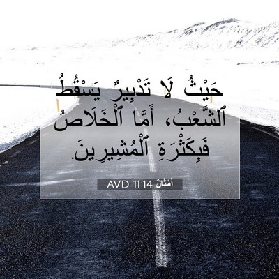 Picture 07 - أَمْثَالٌ 11:14 AVD - حَيْثُ لَا تَدْبِيرٌ - Bible Verse Picture