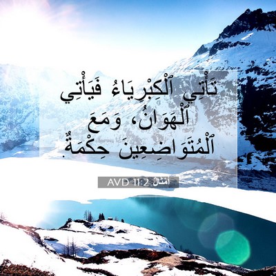 Picture 07 - أَمْثَالٌ 11:2 AVD - تَأْتِي ٱلْكِبْرِيَاءُ - Bible Verse Picture