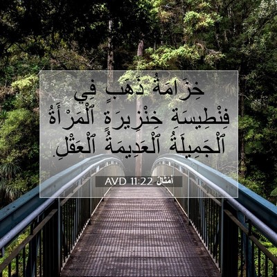 Picture 07 - أَمْثَالٌ 11:22 AVD - خِزَامَةُ ذَهَبٍ فِي - Bible Verse Picture