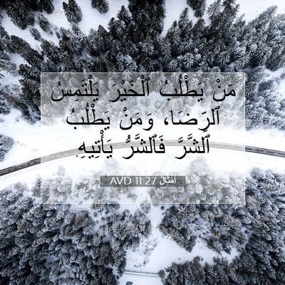 Picture 07 - أَمْثَالٌ 11:27 AVD - مَنْ يَطْلُبُ ٱلْخَيْرَ - Bible Verse Picture