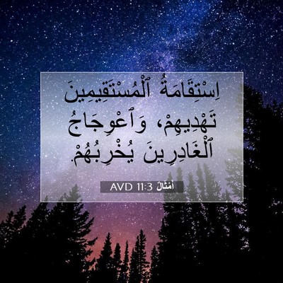 Picture 07 - أَمْثَالٌ 11:3 AVD - اِسْتِقَامَةُ - Bible Verse Picture