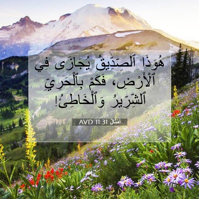 Picture 07 - أَمْثَالٌ 11:31 AVD - هُوَذَا ٱلصِّدِّيقُ - Bible Verse Picture