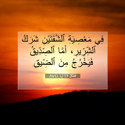 Picture 07 - أَمْثَالٌ 12:13 AVD - فِي مَعْصِيَةِ - Bible Verse Picture
