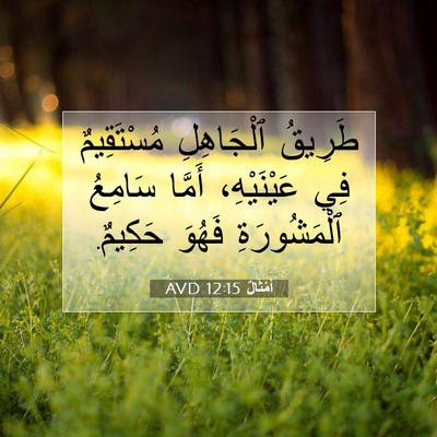 Picture 07 - أَمْثَالٌ 12:15 AVD - طَرِيقُ ٱلْجَاهِلِ - Bible Verse Picture