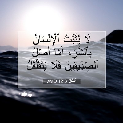 Picture 07 - أَمْثَالٌ 12:3 AVD - لَا يُثَبَّتُ - Bible Verse Picture