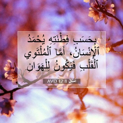 Picture 07 - أَمْثَالٌ 12:8 AVD - بِحَسَبِ فِطْنَتِهِ - Bible Verse Picture