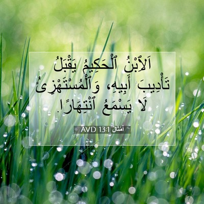 Picture 07 - أَمْثَالٌ 13:1 AVD - اَلِٱبْنُ ٱلْحَكِيمُ - Bible Verse Picture