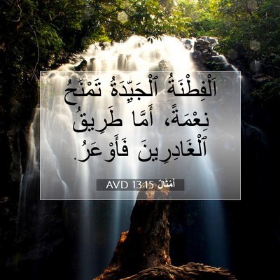 Picture 07 - أَمْثَالٌ 13:15 AVD - اَلْفِطْنَةُ ٱلْجَيِّدَةُ - Bible Verse Picture