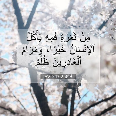 Picture 07 - أَمْثَالٌ 13:2 AVD - مِنْ ثَمَرَةِ فَمِهِ - Bible Verse Picture