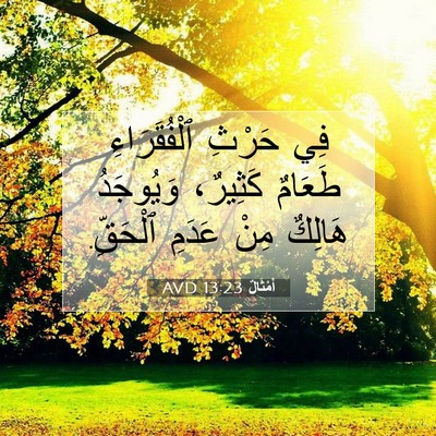 Picture 07 - أَمْثَالٌ 13:23 AVD - فِي حَرْثِ ٱلْفُقَرَاءِ - Bible Verse Picture