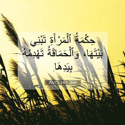 Picture 07 - أَمْثَالٌ 14:1 AVD - حِكْمَةُ ٱلْمَرْأَةِ - Bible Verse Picture