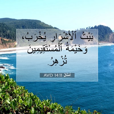 Picture 07 - أَمْثَالٌ 14:11 AVD - بَيْتُ ٱلْأَشْرَارِ - Bible Verse Picture