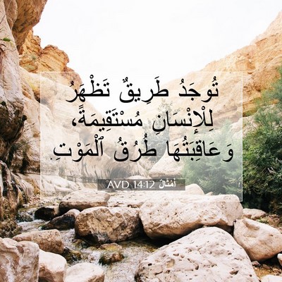 Picture 07 - أَمْثَالٌ 14:12 AVD - تُوجَدُ طَرِيقٌ تَظْهَرُ - Bible Verse Picture