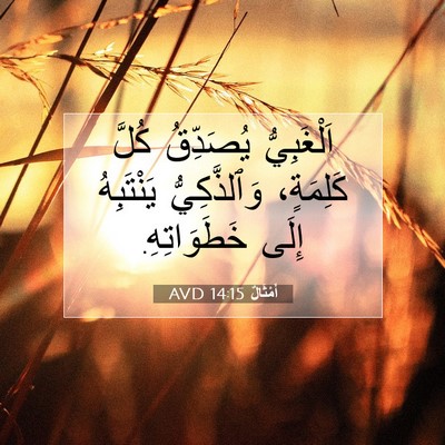 Picture 07 - أَمْثَالٌ 14:15 AVD - اَلْغَبِيُّ يُصَدِّقُ - Bible Verse Picture