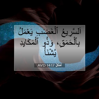 Picture 07 - أَمْثَالٌ 14:17 AVD - اَلسَّرِيعُ ٱلْغَضَبِ - Bible Verse Picture