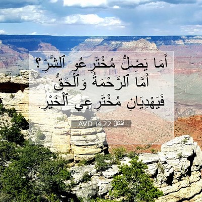 Picture 07 - أَمْثَالٌ 14:22 AVD - أَمَا يَضِلُّ مُخْتَرِعُو - Bible Verse Picture