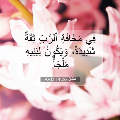 Picture 07 - أَمْثَالٌ 14:26 AVD - فِي مَخَافَةِ ٱلرَّبِّ - Bible Verse Picture