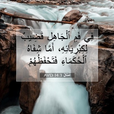 Picture 07 - أَمْثَالٌ 14:3 AVD - فِي فَمِ ٱلْجَاهِلِ - Bible Verse Picture