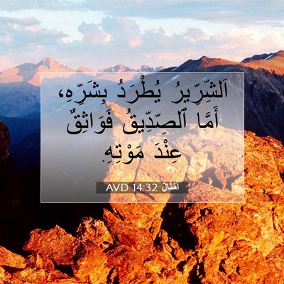 Picture 07 - أَمْثَالٌ 14:32 AVD - اَلشِّرِّيرُ يُطْرَدُ - Bible Verse Picture