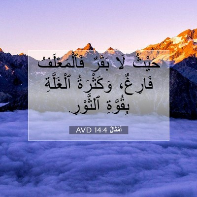 Picture 07 - أَمْثَالٌ 14:4 AVD - حَيْثُ لَا بَقَرٌ - Bible Verse Picture