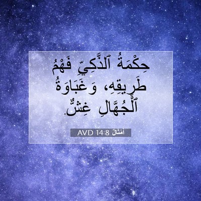 Picture 07 - أَمْثَالٌ 14:8 AVD - حِكْمَةُ ٱلذَّكِيِّ - Bible Verse Picture