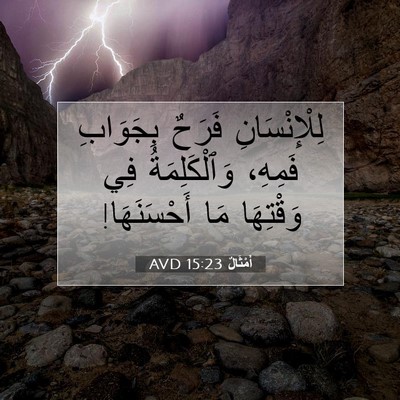 Picture 07 - أَمْثَالٌ 15:23 AVD - لِلْإِنْسَانِ فَرَحٌ - Bible Verse Picture