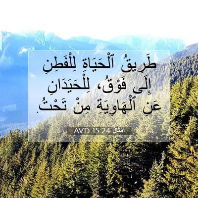 Picture 07 - أَمْثَالٌ 15:24 AVD - طَرِيقُ ٱلْحَيَاةِ - Bible Verse Picture
