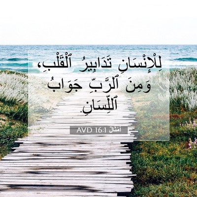 Picture 07 - أَمْثَالٌ 16:1 AVD - لِلْإِنْسَانِ تَدَابِيرُ - Bible Verse Picture