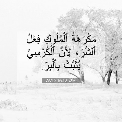 Picture 07 - أَمْثَالٌ 16:12 AVD - مَكْرَهَةُ ٱلْمُلُوكِ - Bible Verse Picture