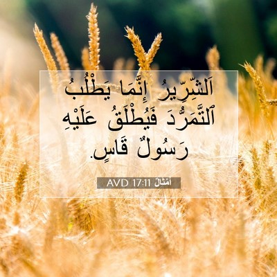 Picture 07 - أَمْثَالٌ 17:11 AVD - اَلشِّرِّيرُ إِنَّمَا - Bible Verse Picture