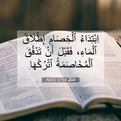 Picture 07 - أَمْثَالٌ 17:14 AVD - اِبْتِدَاءُ ٱلْخِصَامِ - Bible Verse Picture