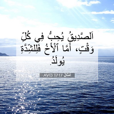 Picture 07 - أَمْثَالٌ 17:17 AVD - اَلصَّدِيقُ يُحِبُّ فِي - Bible Verse Picture
