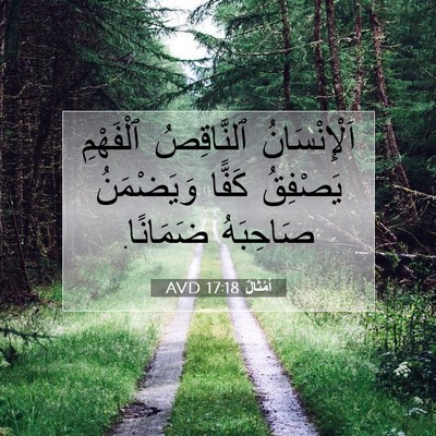 Picture 07 - أَمْثَالٌ 17:18 AVD - اَلْإِنْسَانُ ٱلنَّاقِصُ - Bible Verse Picture