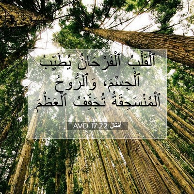 Picture 07 - أَمْثَالٌ 17:22 AVD - ٱلْقَلْبُ ٱلْفَرْحَانُ - Bible Verse Picture
