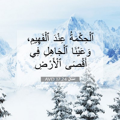Picture 07 - أَمْثَالٌ 17:24 AVD - ٱلْحِكْمَةُ عِنْدَ - Bible Verse Picture