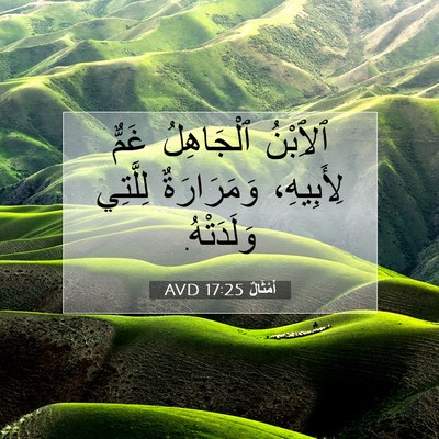 Picture 07 - أَمْثَالٌ 17:25 AVD - ٱلِٱبْنُ ٱلْجَاهِلُ غَمٌّ - Bible Verse Picture