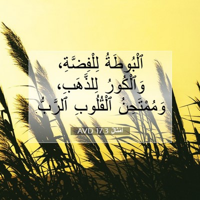 Picture 07 - أَمْثَالٌ 17:3 AVD - ٱلْبُوطَةُ لِلْفِضَّةِ، - Bible Verse Picture