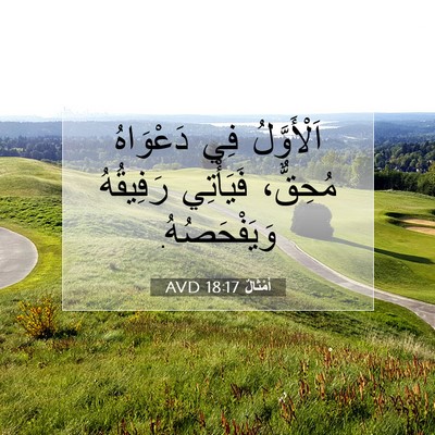 Picture 07 - أَمْثَالٌ 18:17 AVD - اَلْأَوَّلُ فِي دَعْوَاهُ - Bible Verse Picture